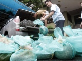 Triệt phá đường dây buôn bán hơn nửa tấn tê tê tại Quảng Ninh