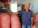 Khánh Hòa: Hàng trăm tấn tỏi có nguy cơ bị đổ bỏ
