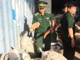 Đà Nẵng: Bắt giữ hơn 10 tấn ngà voi, vảy tê tê nhập lậu