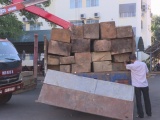 Đắk Lắk: Bắt vụ vận chuyển hơn 30m3 gỗ lậu trong đêm
