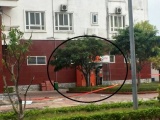 Quảng Ninh: Nghi vấn cây ATM tại chung cư bị cài mìn