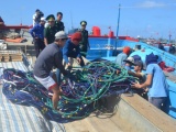 Quảng Ngãi: Tàu cá dùng súng điện khai thác hải sản trái phép