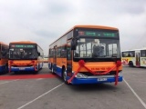 Hà Nội: Mở thêm tuyến buýt từ trung tâm đến sân bay Nội Bài