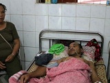 Nghệ An: Ong rừng tấn công khiến 1 người chết, 10 người bị thương