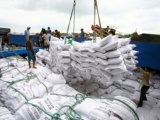 Xuất khẩu gạo Việt Nam đang trong giai đoạn thuận lợi
