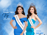 Cuộc thi Hoa hậu Thế giới Việt Nam sẽ tổ chức vào năm 2019