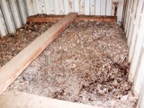 Hải Phòng: Phát hiện lượng lớn vảy tê tê ngụy trang trong container gỗ