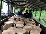 Bắt đối tượng vận chuyển hơn 830 thớt gỗ nghiến trên sông Đà