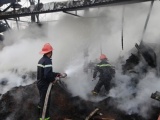 Thái Nguyên: Cháy cơ sở sản xuất, gần 100 tấn chè khô bị thiêu rụi