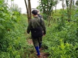 Dấu hỏi lớn về năng lực quản lý, bảo vệ rừng của tỉnh Điện Biên?