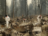 Mỹ: Cháy rừng thảm khốc nhất lịch sử California, 48 người thiệt mạng