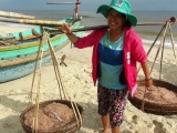 Quảng Bình: Ngư dân trúng đậm mùa ruốc biển và cá trích 