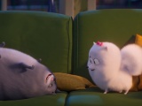 “Đẳng Cấp Thú Cưng 2” tung trailer mới hài hước về mèo mập Chloe