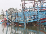 Quảng Nam: Một ngư dân bị sóng cuốn mất tích 