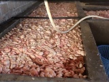 Quảng Ninh: Bắt quả tang cơ sở thu gom, chế biến 20 tấn lòng lợn bẩn