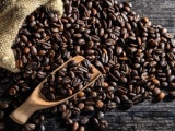 Tìm lời giải cho phát triển bền vững cà phê Việt