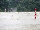 Quảng Nam: Đợt mưa lũ vừa qua gây thiệt hại khoảng 126 tỷ đồng 