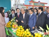 Lễ hội cam và các sản phẩm nông nghiệp Hà Tĩnh năm 2018
