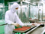 Có 222 cơ sở sản xuất thuốc đạt tiêu chuẩn GMP-WHO