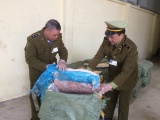 Lạng Sơn: Tịch thu 1,5 tấn nầm lợn bốc mùi hôi thối