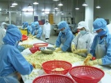 Thực phẩm Lâm Đồng bị phạt, truy thu thuế gần 191 triệu đồng