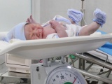 Gần 400.000 em bé được sinh ra vào ngày đầu tiên của năm 2019