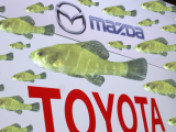 Mazda và Toyota chi 6 triệu USD phí môi trường để bảo vệ... cá