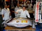 Mức giá cao kỷ lục 3 triệu USD cho một con cá ngừ vây xanh