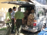 Tây Ninh: Điều tra vụ vận chuyển gỗ lậu bằng xe 16 chỗ