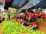 Thu Cúc Garden Phú Thọ – Địa điểm giáo dục lý tưởng cho mọi lứa tuổi