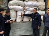 Bắt giữ 5 tấn ba kích nghi nhập lậu từ Trung Quốc