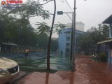 Hà Nội: Sân tennis 'chướng tai gai mắt' nằm trong trường THPT Lý Thái Tổ