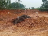  Hà Tĩnh: Đào đất xây dựng công trình, người dân tá hỏa phát hiện bom 2,5 tạ