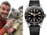 “Mê mẩn” trước chiếc đồng hồ Tudor Black Bay mà David Beckham diện khi sang Việt Nam