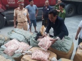 Thu giữ 1,5 tấn sụn gà “bẩn” trên xe khách chạy từ Lào về Việt Nam
