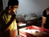 TP. Hồ Chí Minh: Thu giữ hơn 4 tạ thịt gà 'bẩn' tuồn ra thị trường