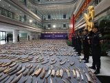 Trung Quốc thu giữ 7,5 tấn ngà voi