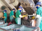 Phát hiện hàng trăm xác thai nhi, nhà máy rác “cầu cứu” UBND tỉnh