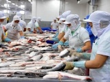 Mỹ tăng thuế chống bán phá giá cá tra Việt Nam