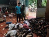 Hà Nội: Thu giữ gần 3 tấn nội tạng động vật nhập lậu