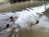 Thanh Hóa: Ra sông Mã tắm, 4 học sinh đuối nước thương tâm