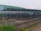 BIDV có mất vốn khi rót hơn 2.000 tỷ vào dự án chăn nuôi bò ở Hà Tĩnh?