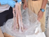 Thừa Thiên - Huế: Bắt giữ 1,6 tấn nội tạng động vật không rõ nguồn gốc