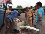 Kỳ Anh - Hà Tĩnh: Phát hiện xe khách chở 200kg thịt lợn không rõ nguồn gốc