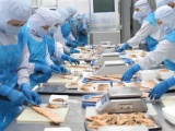 Trung Quốc miễn thuế cho 33 mặt hàng thủy sản Việt Nam