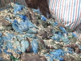 Điện Biên: Tiêu hủy 58 tấn chân gà đông lạnh bị hư hỏng