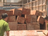 Đắk Lắk: Tài xế chở gỗ lậu tông ô tô vào xe công an 