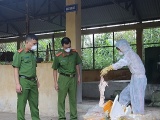 Lạng Sơn: Thu giữ 6 tạ nầm lợn nhập lậu bốc mùi hôi thối
