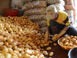 Hà Nội sẽ có thêm 6 chợ đầu mối nông sản