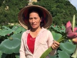 20 năm gắn bó với cây sen, mẹ Hà Nội thu nhập gần nửa tỷ mỗi vụ